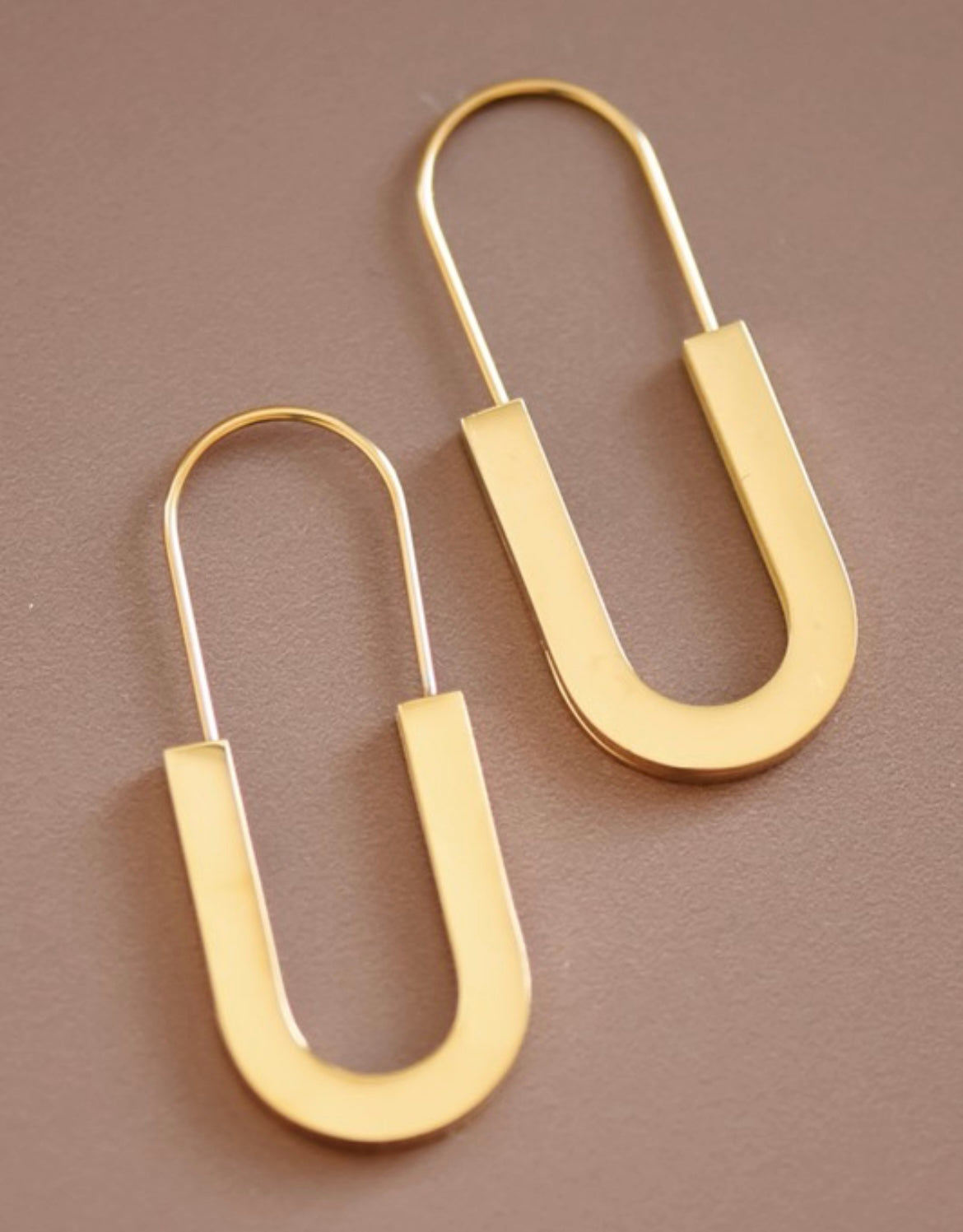 Pinned Earrings