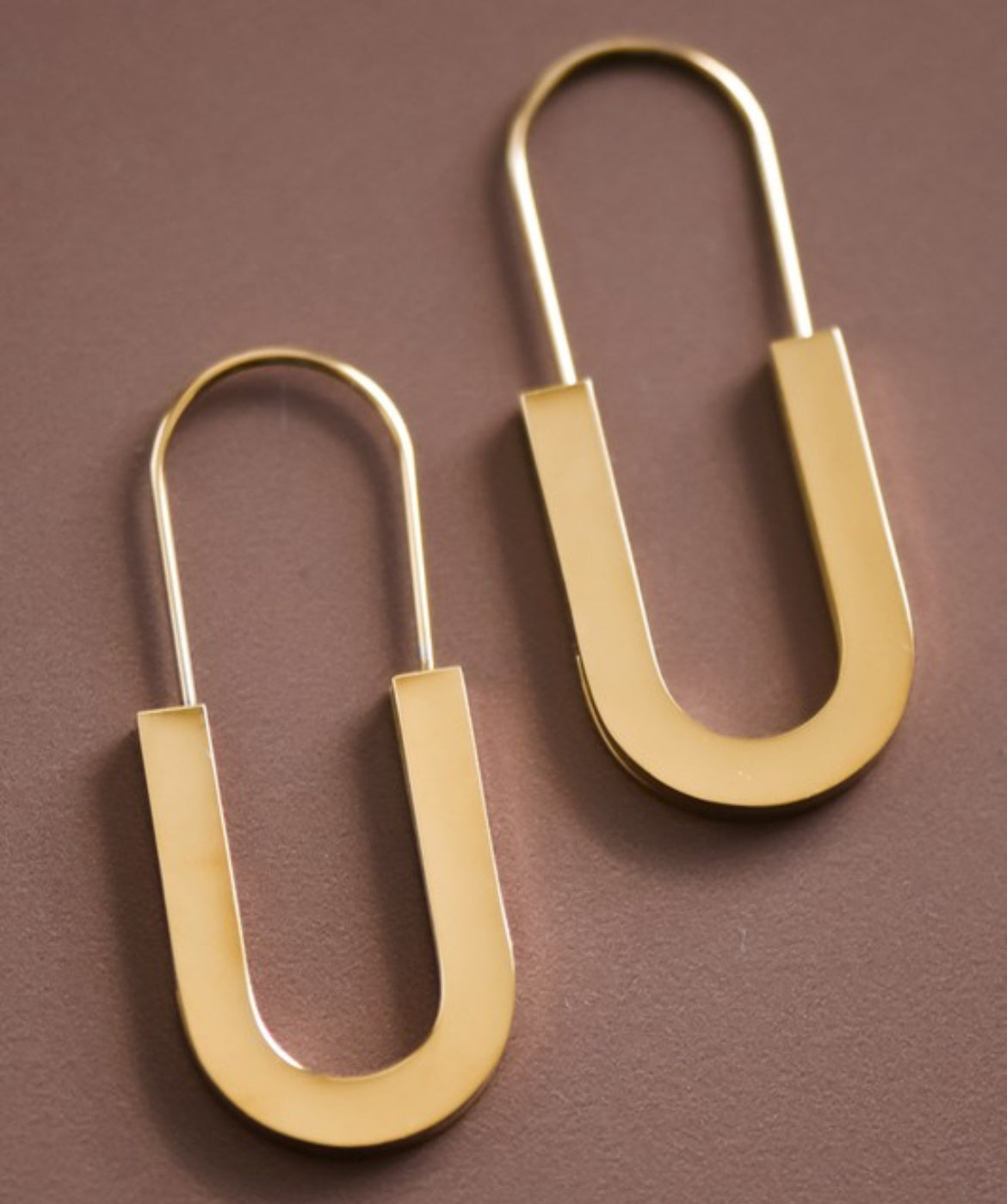 Pinned Earrings