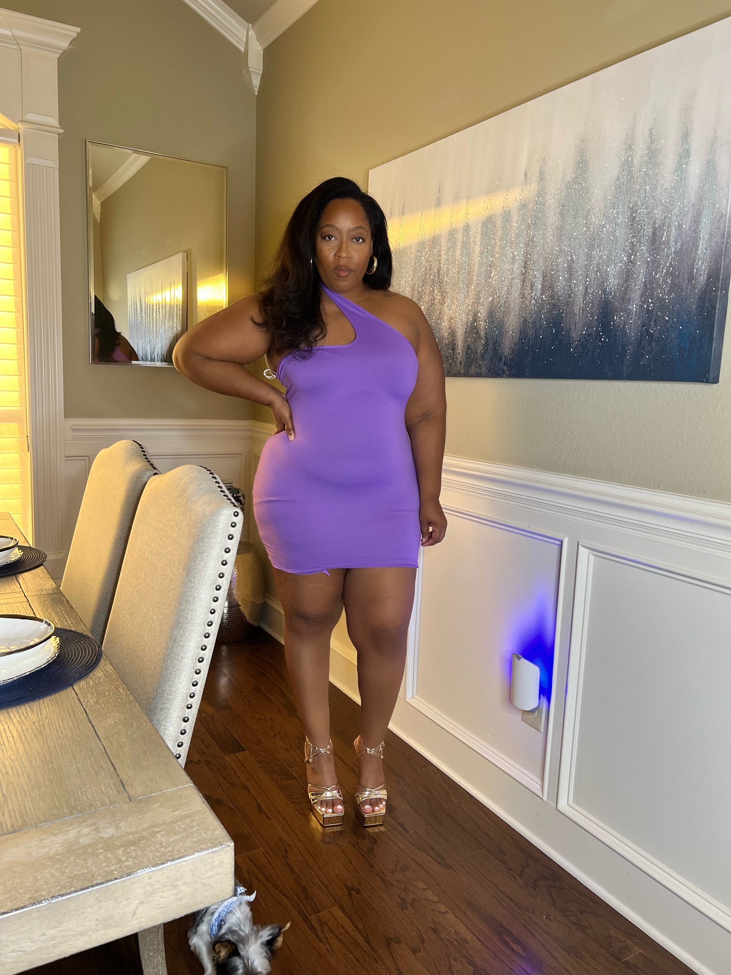 Sasha Mini Dess